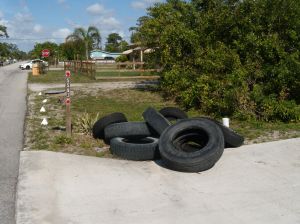 Just a few of the finds. This pile waits on Paypa Rd. 
